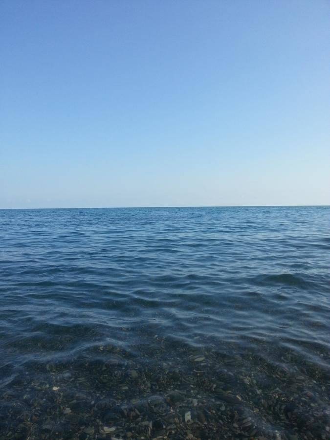 Фото Гостевого дома Гостевой дом Южная Пальмира Пицунда 4